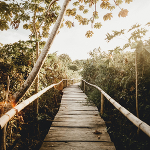 成人无码ss25ss亚洲AV
