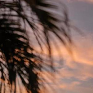 成人无码ss25ss亚洲AV
